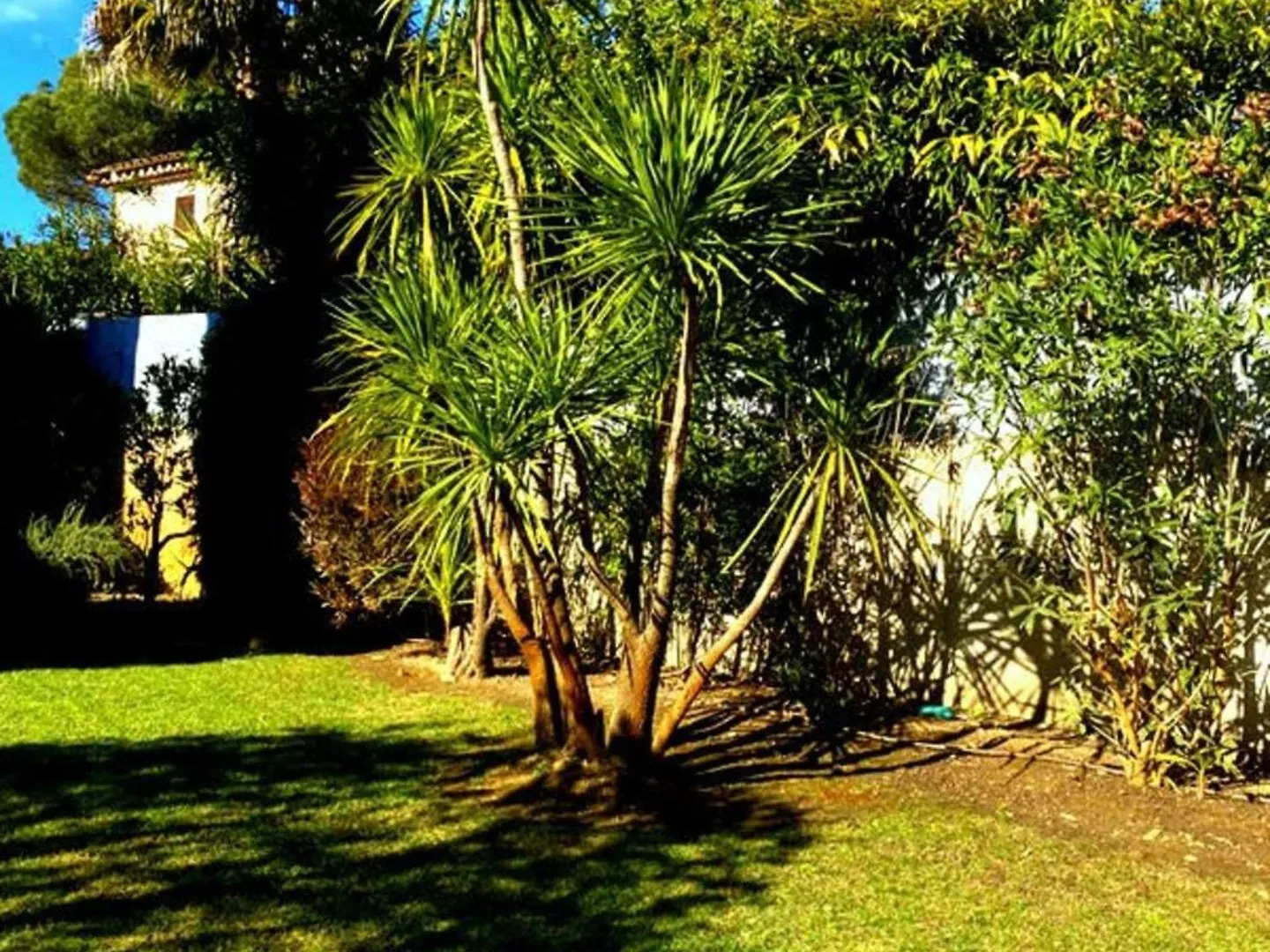 Villa Tout Confort 8 Personnes ,Wifi, Petanque, Piscine Privee Gassin